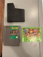 Hudson’s Adventure Island (Nintendo Entertainment System, 1987)  SPB-TS306258