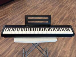 NuX NPK-10 88 Key Scaled Hammer Action Digital Piano Black - VWG 334883